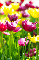 Similar image 789252