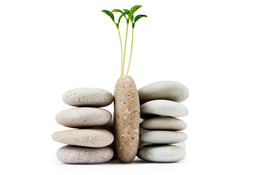 Similar image 789269