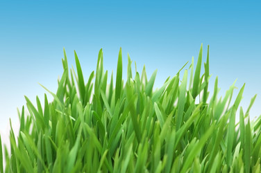 Similar image 789403