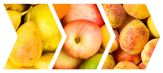 Similar image 789598