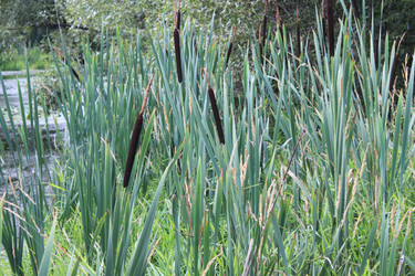 Similar image 789660