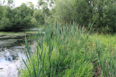 Similar image 789661