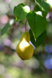 Similar image 789690