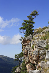 Similar image 789732