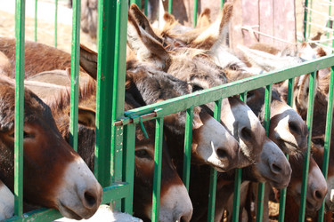 Similar image 789733