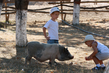 Similar image 789736