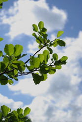 Similar image 789830