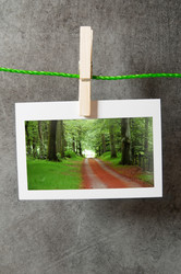 Similar image 789848