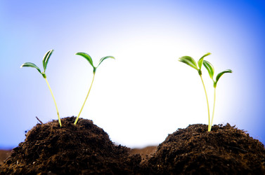 Similar image 789869