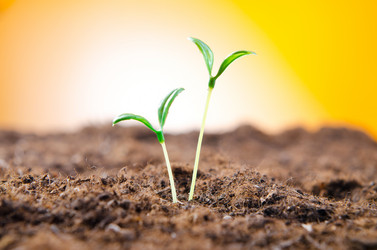 Similar image 789882