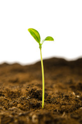 Similar image 789883