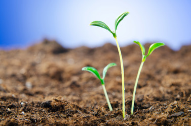 Similar image 789884