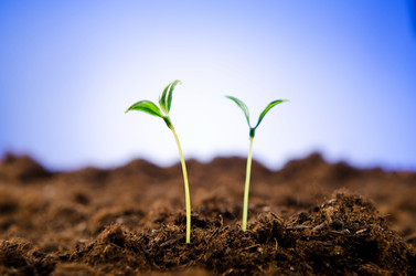 Similar image 789885