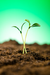 Similar image 789886