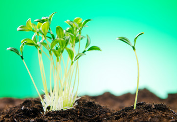 Similar image 789887