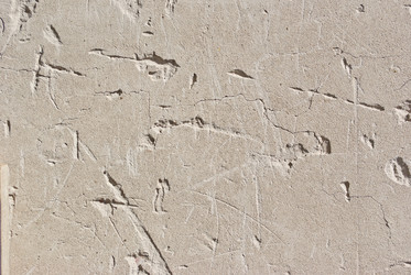 Similar image 789913