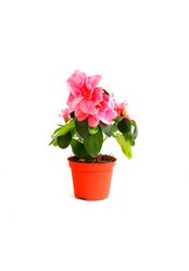 Similar image 789959