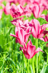 Similar image 789980