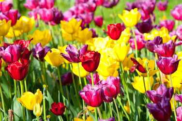 Similar image 789981