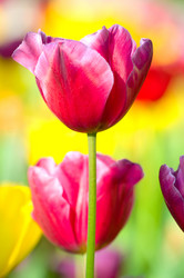 Similar image 789982