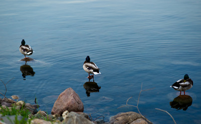 Similar image 789994