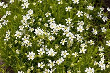 Similar image 790021