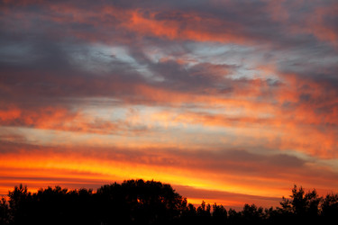 Similar image 790051