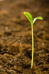 Similar image 790100