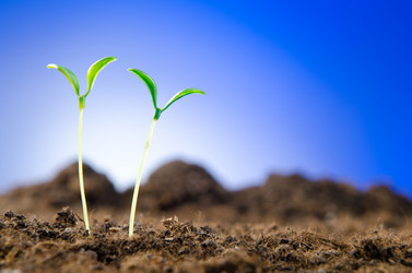 Similar image 790104