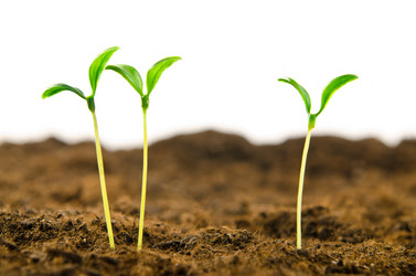 Similar image 790105