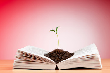 Similar image 790131