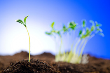 Similar image 790200