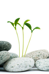 Similar image 790209