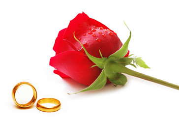 Similar image 790226