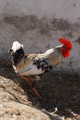 Similar image 790241