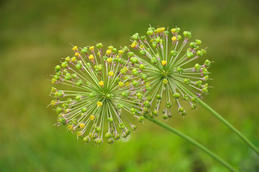 Similar image 790242