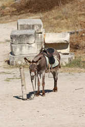 Similar image 790246