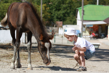 Similar image 790251