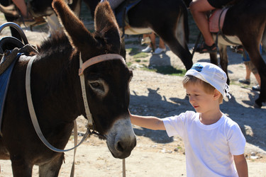 Similar image 790254