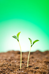 Similar image 790299