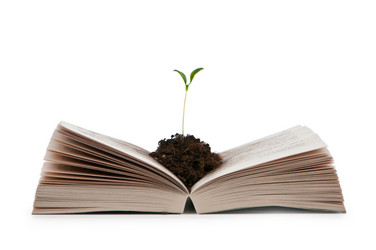 Similar image 790307