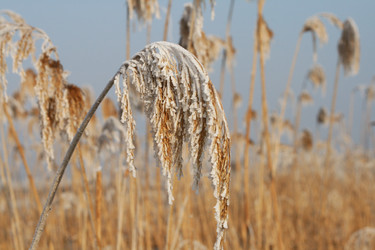 Similar image 790321