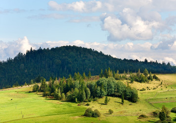 Similar image 790337