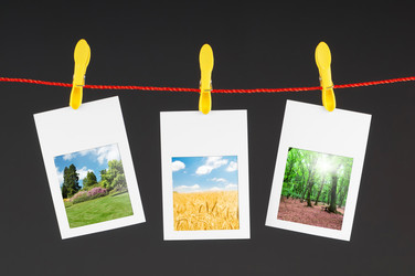 Similar image 790346