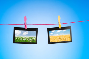 Similar image 790356