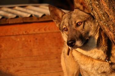 Similar image 790368