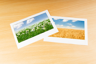 Similar image 790385