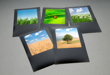 Similar image 790390