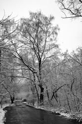 Similar image 790459