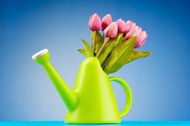 Similar image 790674